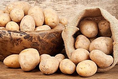 E3:《飙酷车神2》第4年揭示预告 系列玩家超3千万